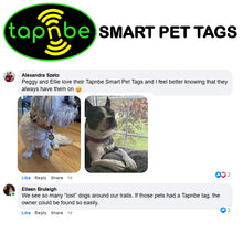 Load image into Gallery viewer, Smart Pet Tags
